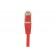 Cordon RJ45 CAT.5e F/UTP rouge - 5 mètres - blindage aluminium/cuivre - 854137_2