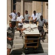 Track-o twin-track 66 - chariot électrique - movex - capacité de charge 503 kg_2