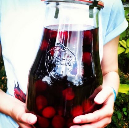 Bocaux en verre WECK Corolle® 2700 ml - Ø 100 mm - avec couvercles en verre et joints (clips non inclus) - WN000020_2