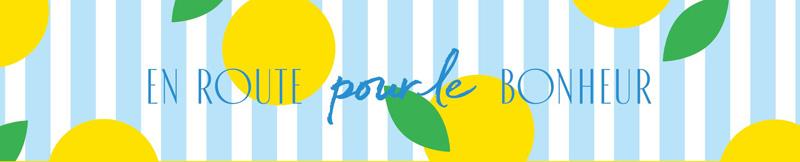 Corbeille carton anse rabattable Bonheur 36x23 -_2