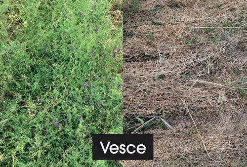 Faca rouleau agricole - Sky Agriculture - 2,75 à 6 m - 10 lames vrillées 100x10 mm - diamètre 607 mm_2