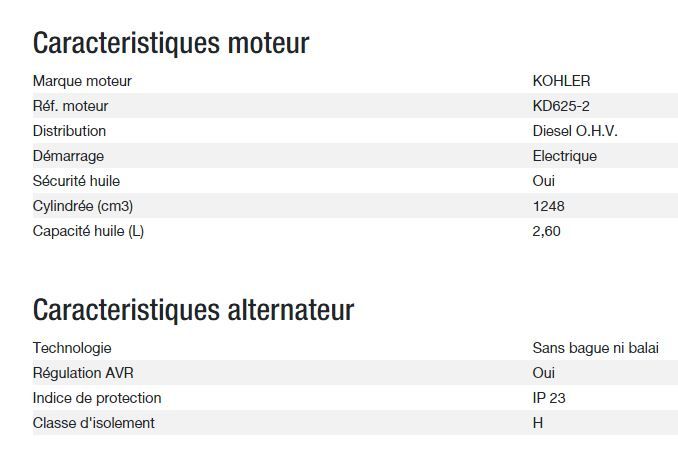 Modèle Diesel 20000 ta xl avr export avec puissance maximale en kVA de 19