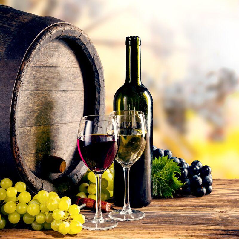 Cave à vin professionnelle vitrée - 72 bouteilles | GGM - WKFA400_2