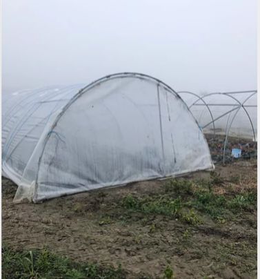 Fraisier renforcé - serre tunnel professionnelle - Serres Natural - largeur 4,00m avec porte panneau mobile_2