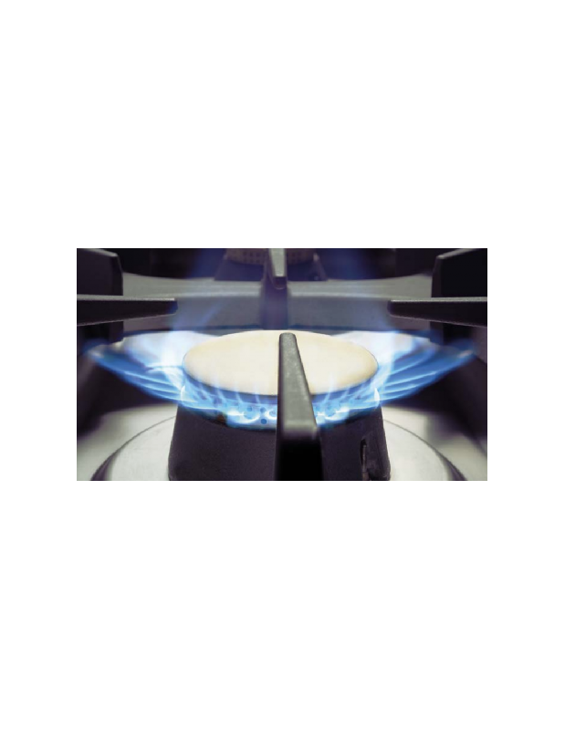 Fourneau 2 feux gaz sur placard ouvert - 5.5 Kw - Acier inoxydable, brûleurs en fonte - DOMINA PRO 700 - MBM_2