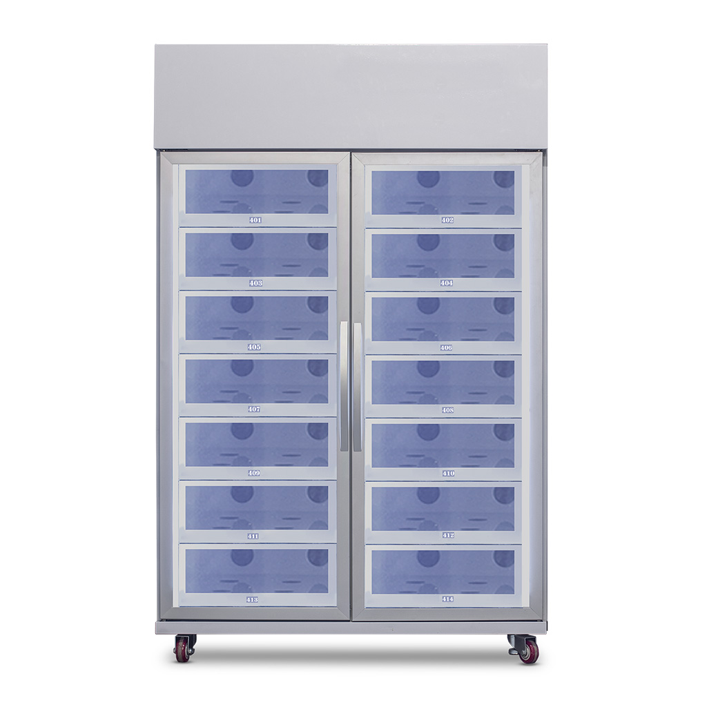 Distributeurs automatiques de glaces et yaourts - Contrôle de Température Personnalisé - Accès 24/7 - SASU LDA_2