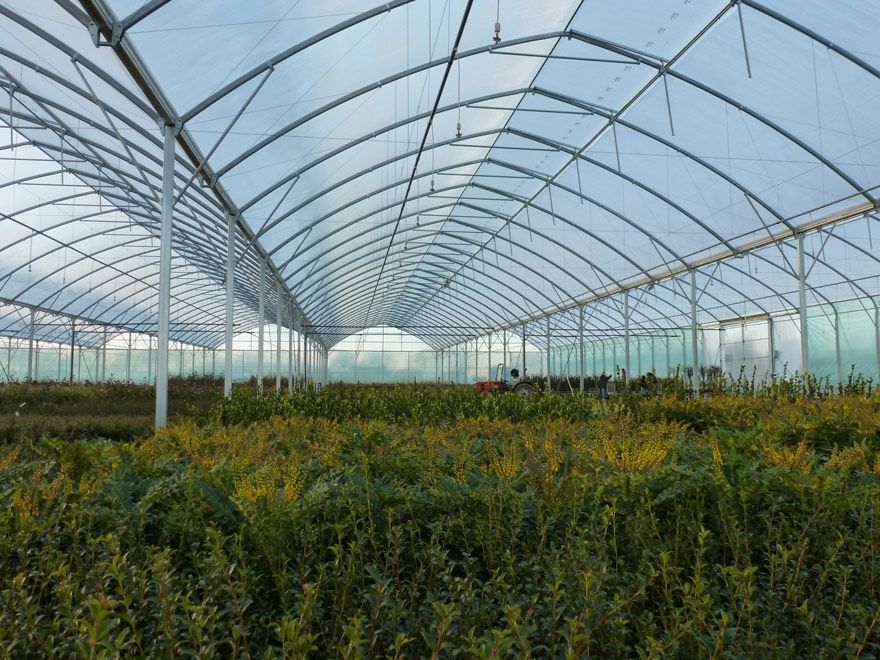 Structure de serre avec couverture plastique résistante