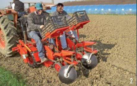 Équipement agricole Wolf Compact pour repiquage précis