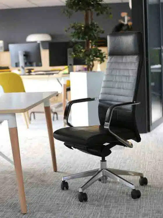 Fauteuil de bureau ergonomique haut de gamme avec design moderne_2
