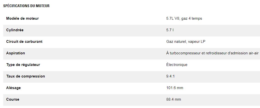 Dg100-2 (triphasé) groupes électrogènes industriel à gaz - caterpillar -  classification gaz naturelle 92 kw à 100 kw_2