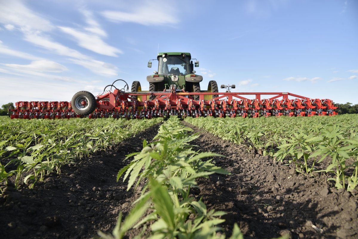 Matériel agricole Chopstar pour cultures en inter-rangs
