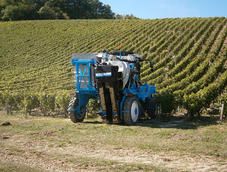 Cueilloir 96 h machine à vendanger - Bobard avec dispositif de récolte EMS breveté et vibreurs inox_2