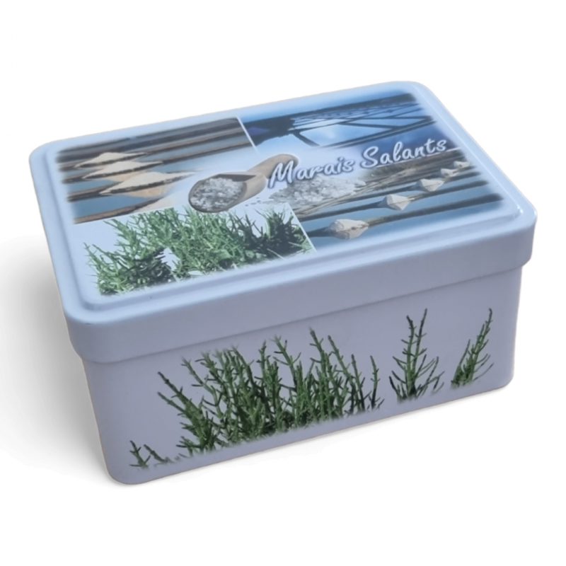 Boîte décorée en acier étamé 1/2 Junior - 120 x 87 x 60 mm - décor Marais Salants - BQBA0019_2