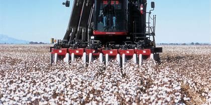 Récolteuse de coton avec double système de cueillette optimisé