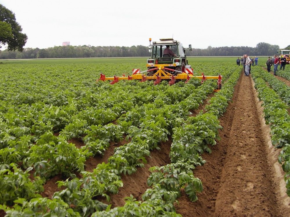 Sb02 - Butteuse agricole ZIBO - Châssis renforcé, rabattage hydraulique, 4 ou 8 rangs avec parallélogrammes_2