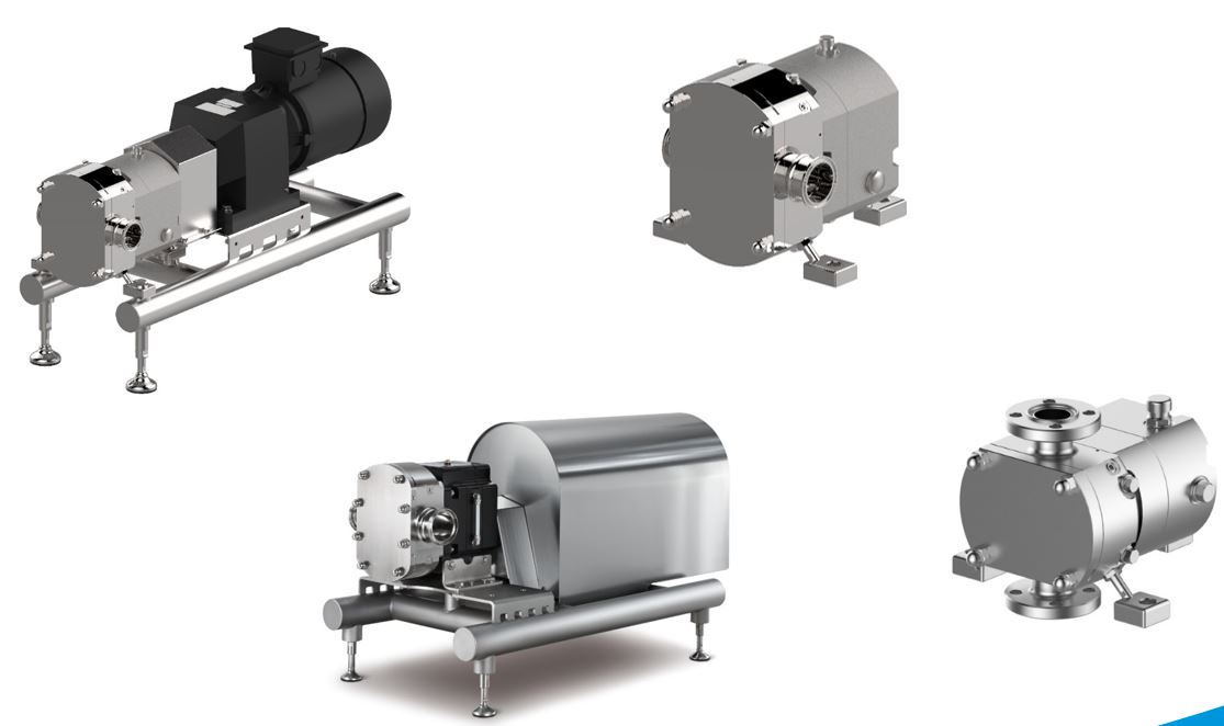 Gea hilge novalobe_2