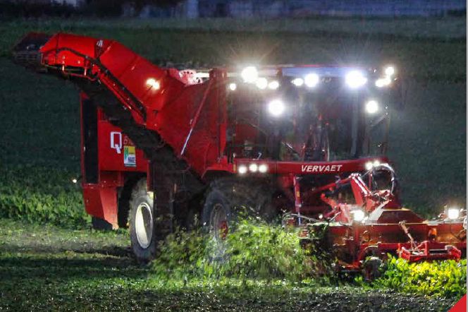 Arracheuse modulaire et manoeuvrable Vervaet Q Series