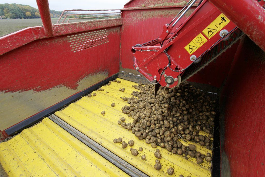 Arracheuse avec système de tamisage et respect des récoltes