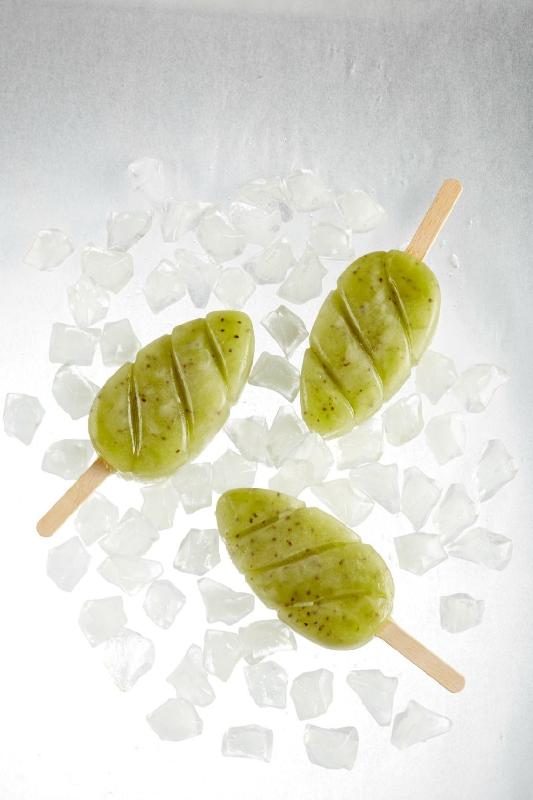 Kit 2 moules Malibu Pocket + bâtonnets + plateau_2