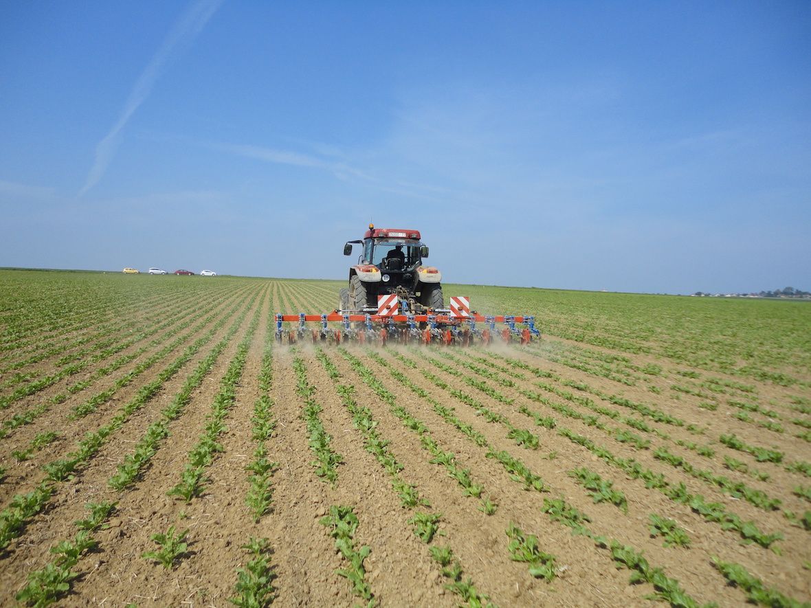 Bineuse spéciale betterave - Thomas Hatzenbichler Agro-Technik - barre profilée avec montage 3 points et disques stabilisateurs montés sur roulements à billes_2