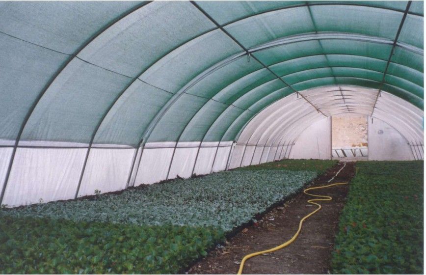 Serre horticole par excellence - BRETAGNE_3