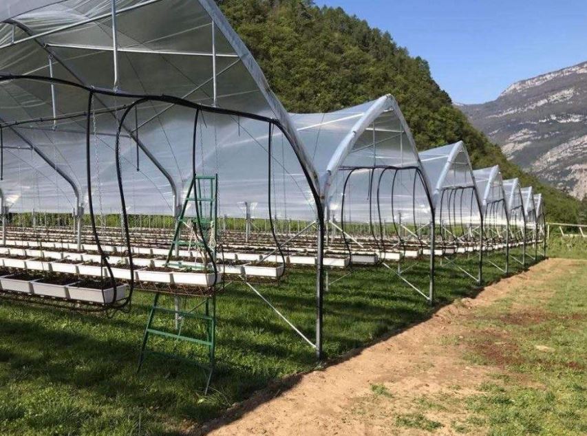 Serre à travées multiples à structure gothique conçue pour les régions soumises à de fortes chutes de neige - Multieasy_2