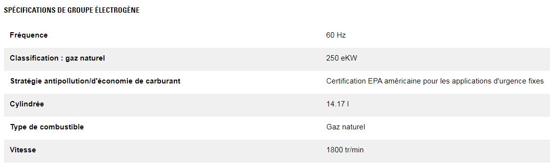 Groupes électrogènes industriel à gaz - caterpillar -  classification gaz naturel 250 kw_2