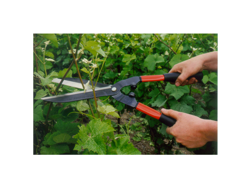 Cisaille à haies Bahco P51-F - lames dentelées, poignées légères en aluminium, 570mm - usage professionnel_2