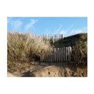 Ganivelle en écart - clôtures en bois - leneindre - de 2 et 4 cm_2