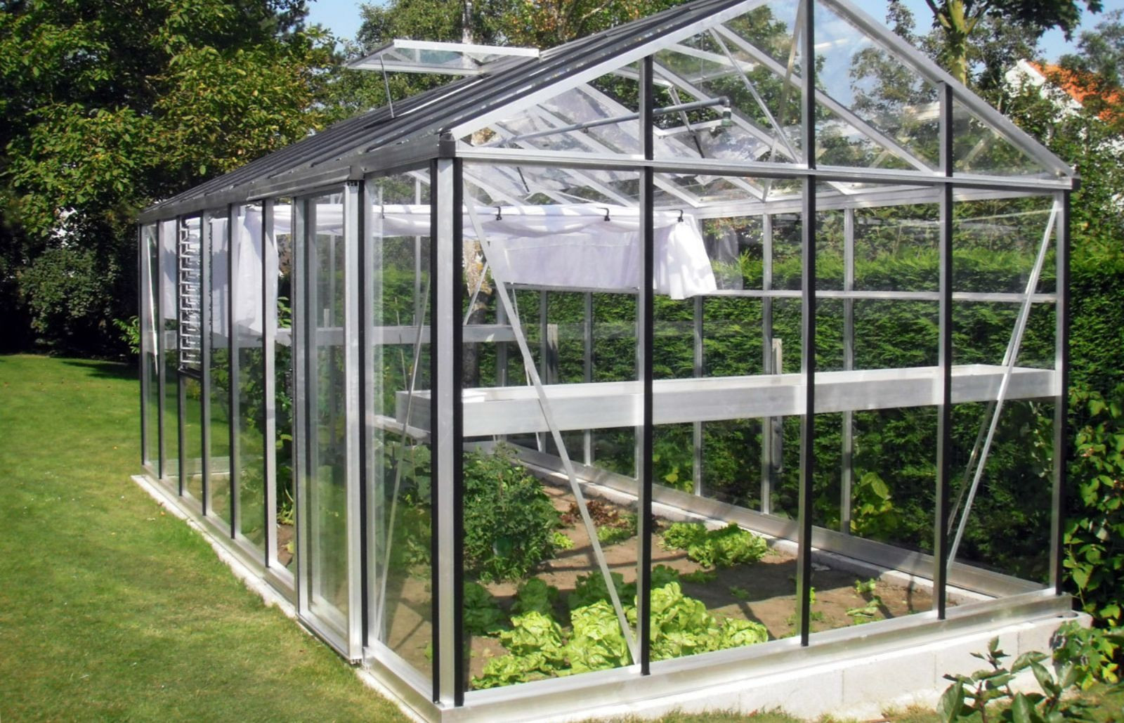 Serre en verre polyvalente, spacieuse, modulable pour vos plantes sensibles   - Helios Master_2