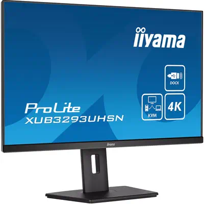 Iiyama ProLite XUB3293UHSN-B5 écran plat de PC 80 cm (31.5