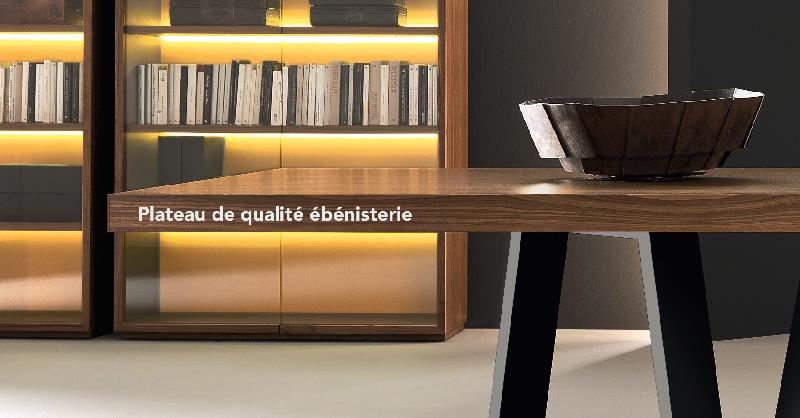 Table de réunion rectangulaire Kyo - Martex - Zebrano_2