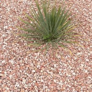 Gravier de marbre rose 15/20 - Granulat décoratif haut de gamme, fabriqué en France_2