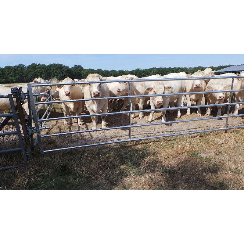 Barrière d'herbage autolock 4-5 mètres pour chevaux et petit bétail - jourdain_2