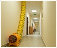 Blm 6800 - soufflante d'air professionnelle Master - 3.900 m³/h - robuste et facile à transporter_2