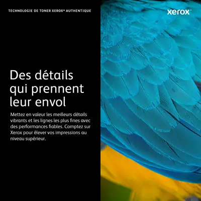 Cartouche de toner Cyan de Grande capacité Xerox Imprimante couleur Xerox® C310/multifonctions Xer_2