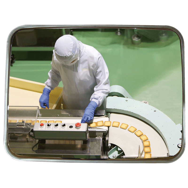 Miroir industrie et logistique - en acier inoxydable - pour environnements contraints et contrôle 2 directions_2