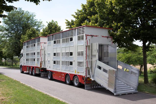 Rba32 - remorque bétaillère - carrozzeria pezzaioli - essieux jumelés simples fixes de 10000 kg_2