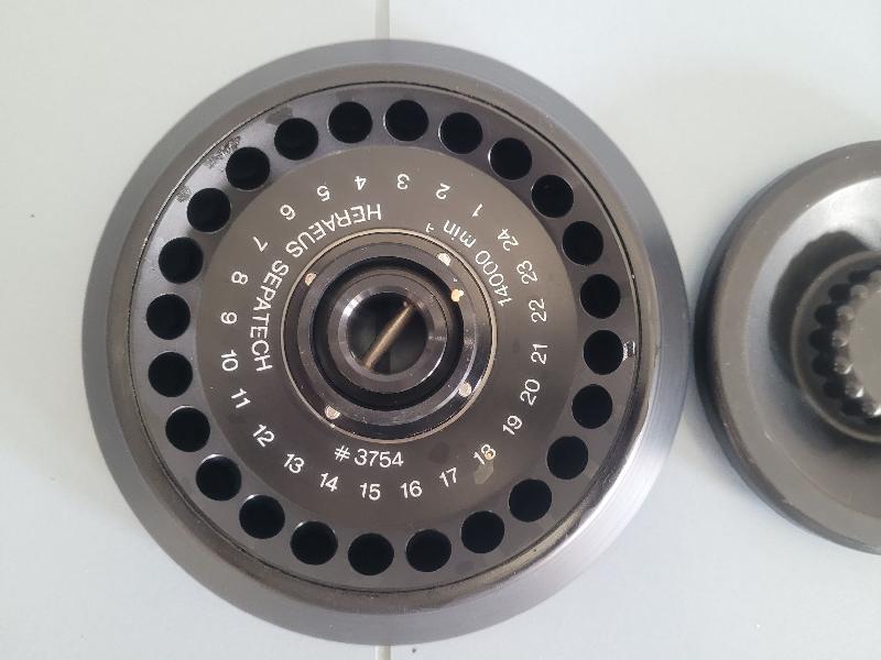 Rotor angulaire pour centrifugeuse Nr.3754 HERAEUS SEPATECH_2