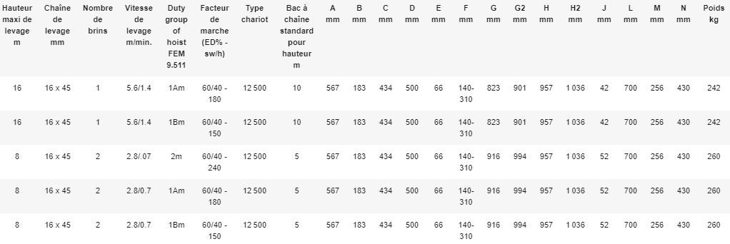 Palan électrique à chaîne REMA LK-13 - Hauteur de levée 3 m - REMA Holland B.V. - Fiabilité et sécurité jusqu'à 25 tonnes_2