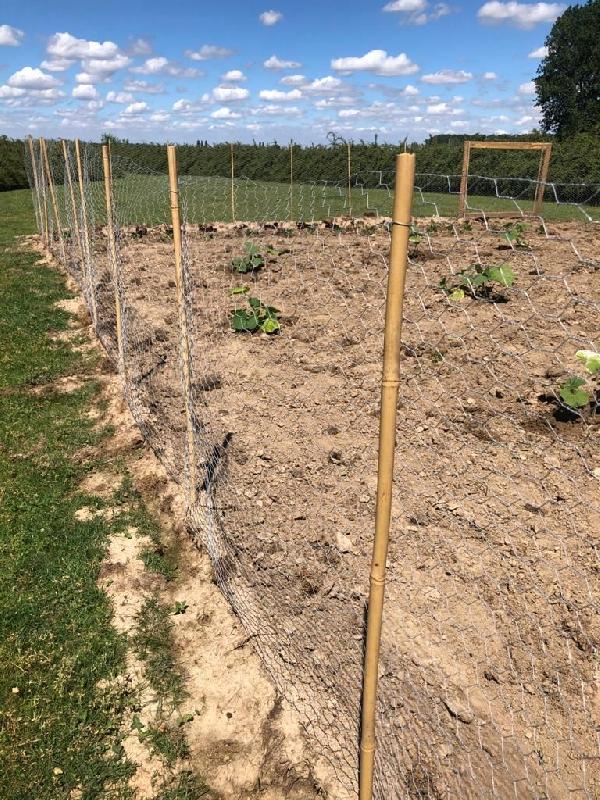 Grillage galvanisé - 1 m x 50 m - souple et rigide avec mailles 2,5 cm x 2,5 cm_2