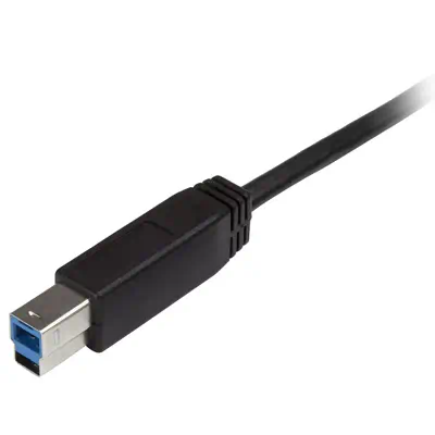 StarTech Cble USB-B vers USB-C de 2m, USB 5Gbps_2