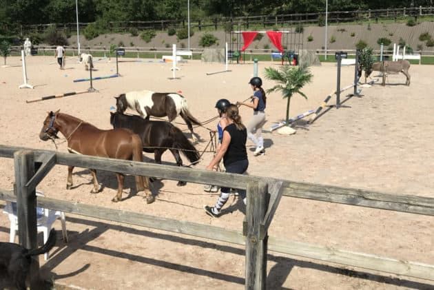 Clôture de carrière - horse stop - lice bois toubin clément modèle déporté, 2 lices - ref. Btcd2l_2