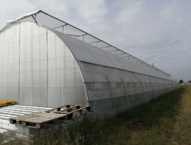 Japon 3 - Serre chapelle multichapelle Rufepa - structure durable et ventilation zénithale_2