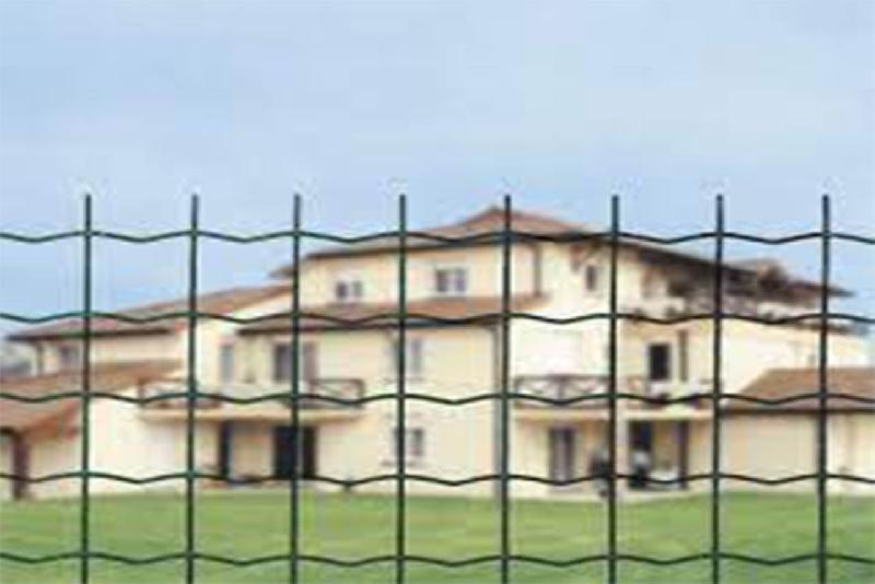 Grillage soudé maille 50x50mm Ral 6005 - 1000_2