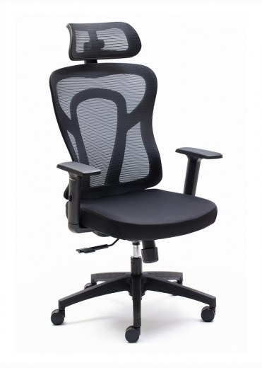 Fauteuil Synchrone CAYEUX avec Têtière Réglable - Dossier haut en résille - Référence 6399 FR206_2