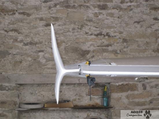 Nynjawin - winglets (la paire)_2