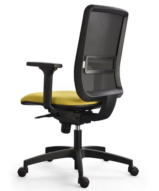 Taski - Chaise de bureau ergonomique avec dossier en résille et support lombaire réglable_2