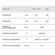 Générateur industriel 670 kVA pour applications triphasées