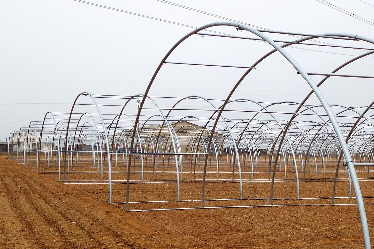 T8,50 - t9,50 - serre tunnel - ulma - 8.5 - 9.5 m_2